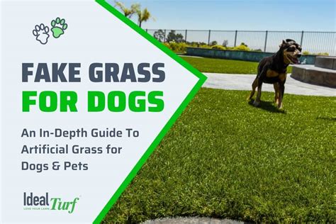 fake grass for dogs celina tx|Pet Turf — Artificial Grass for Dogs & Pets .